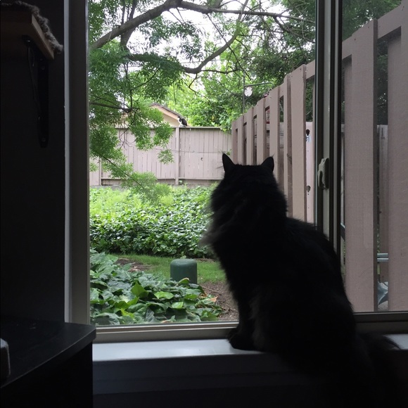 Meet your Posher, Samantha - Picture 1 of 1